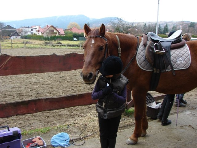 Hubertus 2010